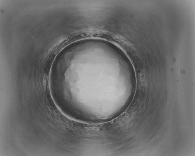 X0000072991302200608041258