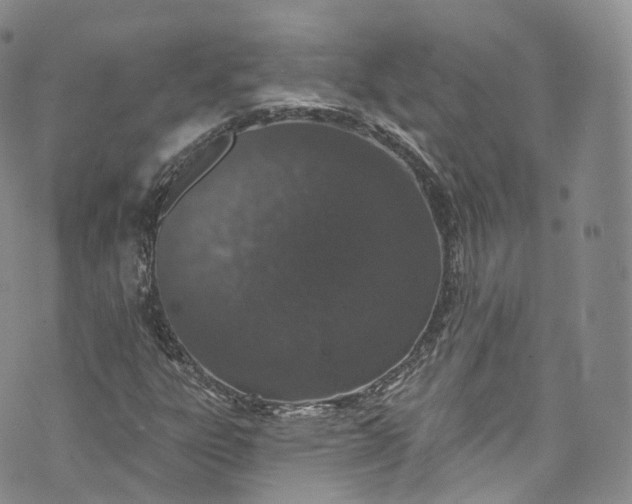 X0000072991303200608041258