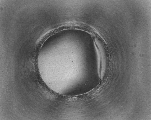 X0000072991304200608041258