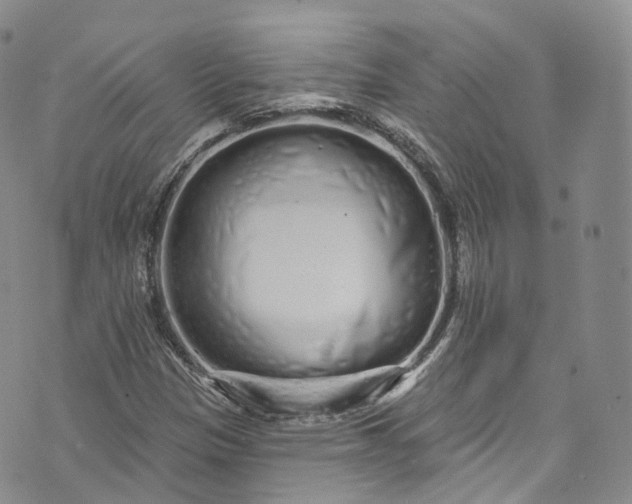 X0000072991305200608041258