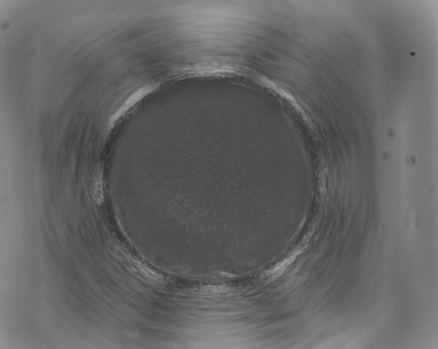 X0000072991306200608041258