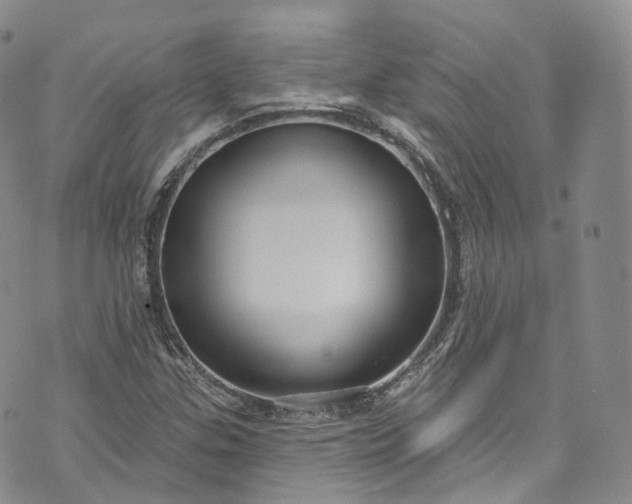 X0000072991307200608041258