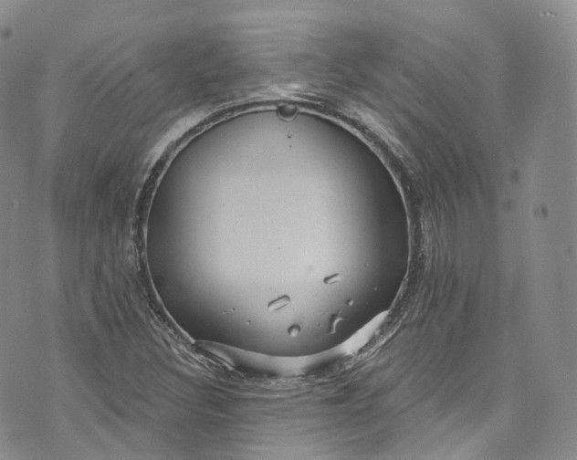 X0000072991308200608041258