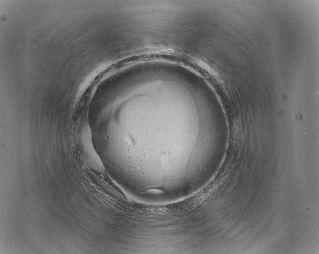 X0000072991310200608041258