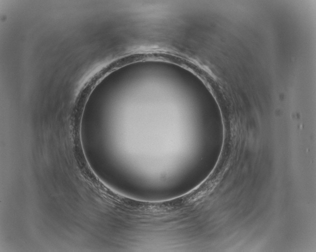 X0000072991311200608041258