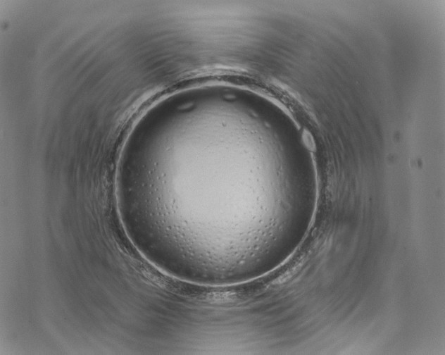 X0000072991313200608041258