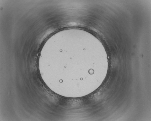 X0000072991314200608041258