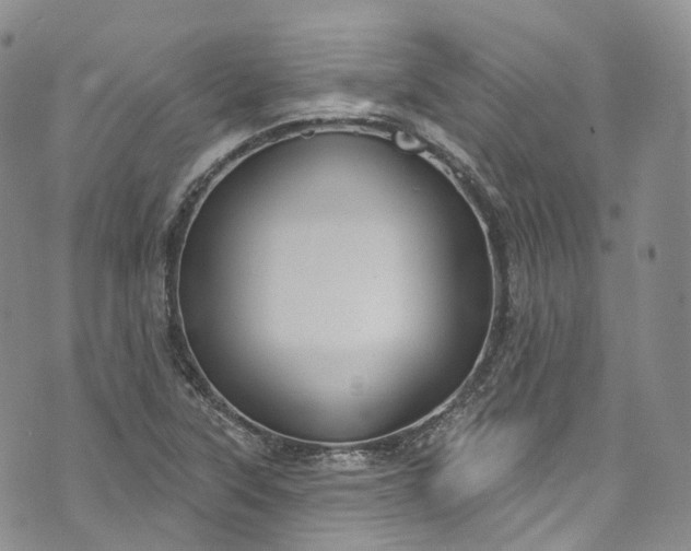 X0000072991315200608041258