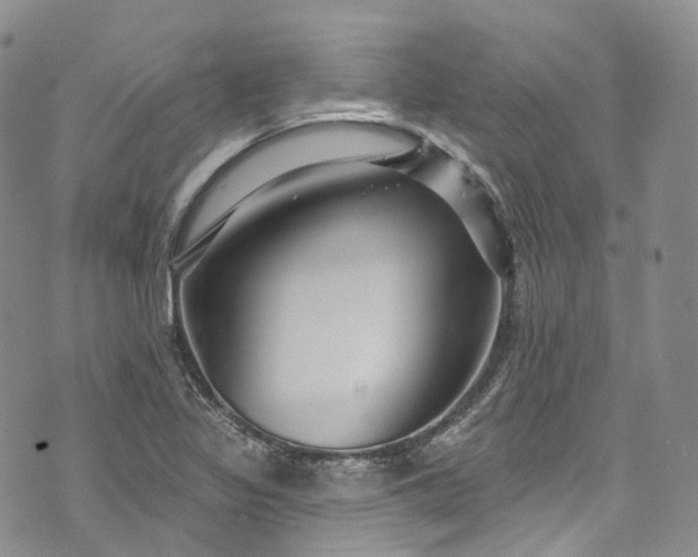 X0000072991317200608041258