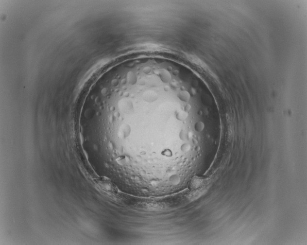 X0000072991318200608041258