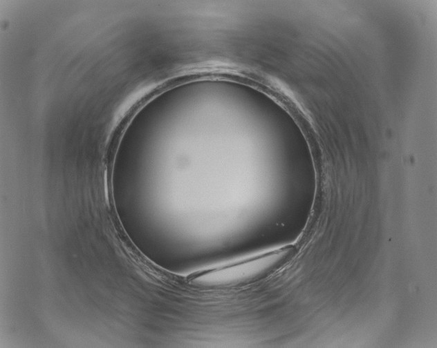 X0000072991320200608041258