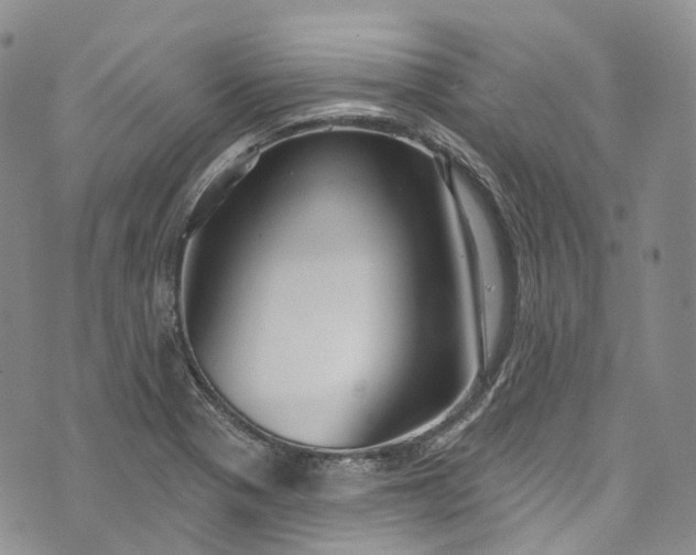 X0000072991321200608041258