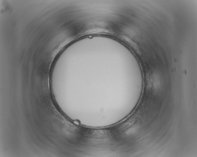 X0000072991322200608041258