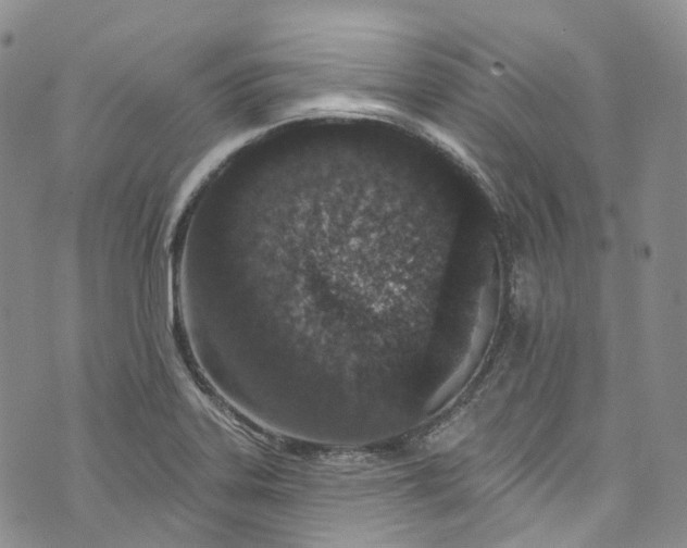 X0000072991323200608041258