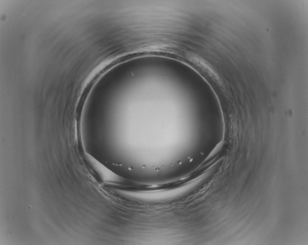 X0000072991324200608041258