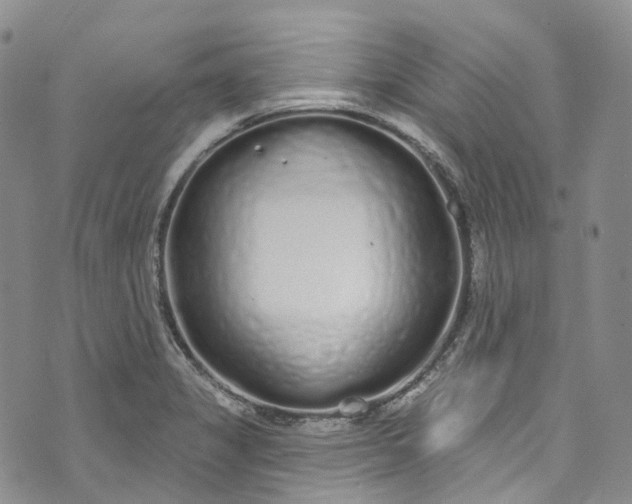 X0000072991325200608041258