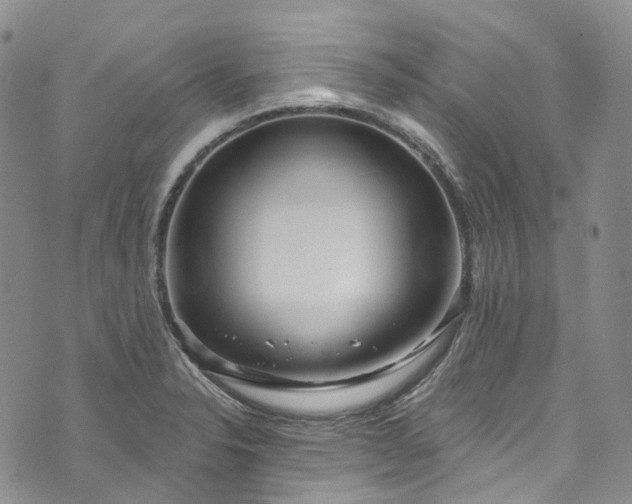 X0000072991326200608041258