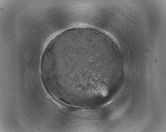 X0000072991327200608041258