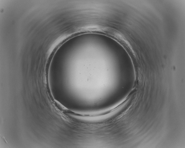 X0000072991328200608041258