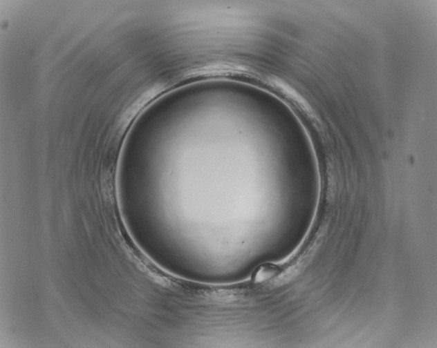 X0000072991329200608041258