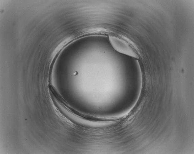 X0000072991330200608041258