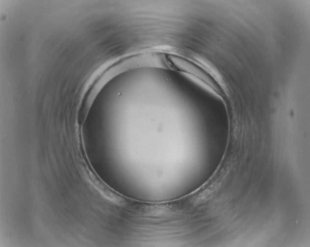 X0000072991332200608041258