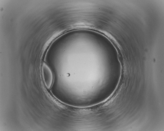 X0000072991333200608041258