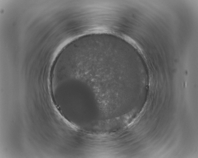 X0000072991334200608041258