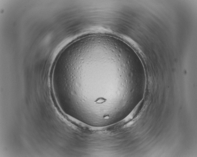 X0000072991335200608041258