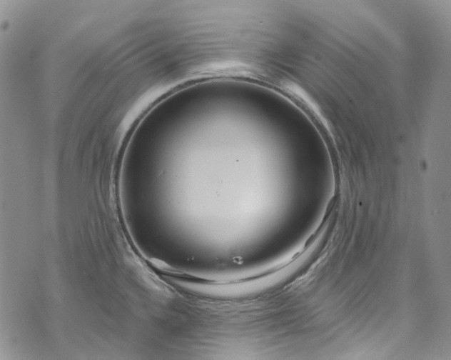 X0000072991336200608041258