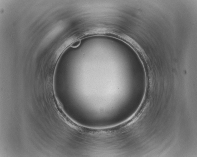 X0000072991337200608041258