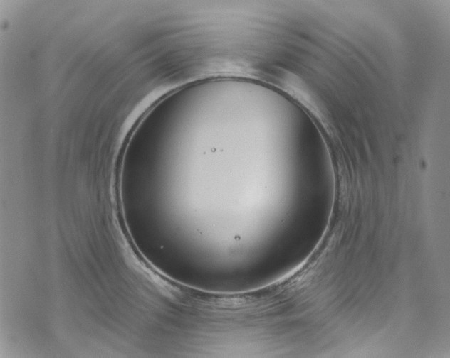 X0000072991339200608041259