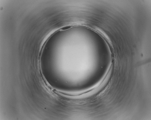 X0000072991340200608041259