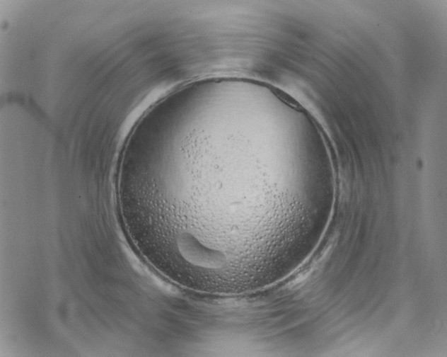 X0000072991341200608041259