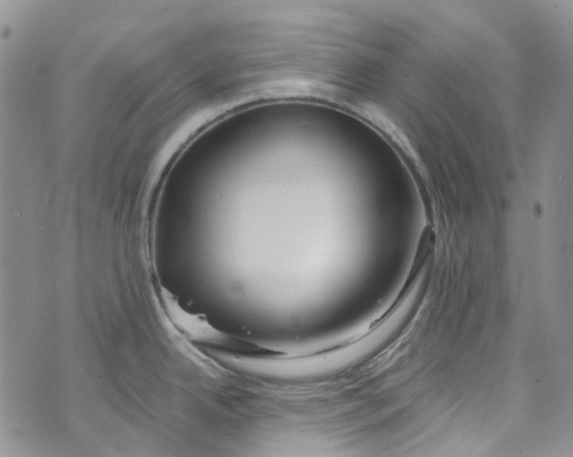 X0000072991342200608041259