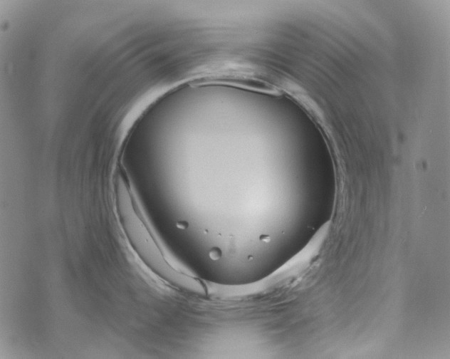 X0000072991344200608041259