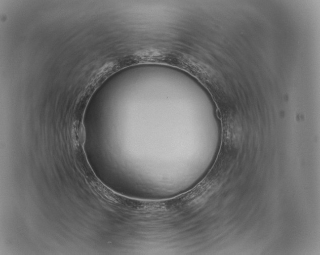 X0000072991346200608041258