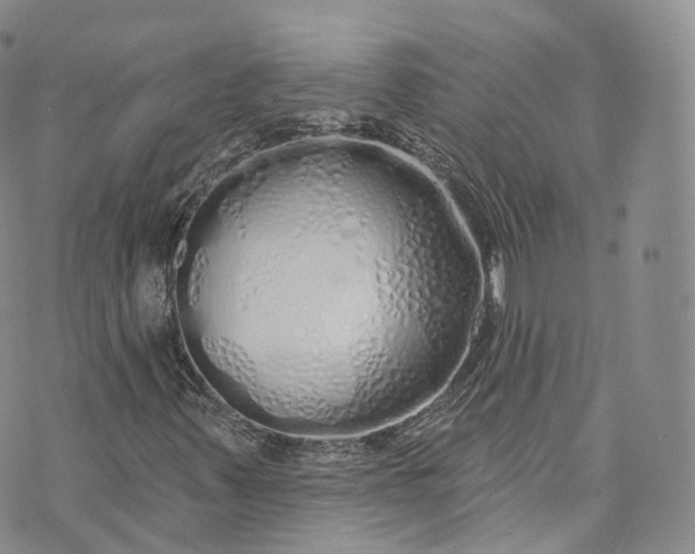 X0000072991347200608041258