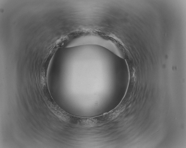 X0000072991348200608041258