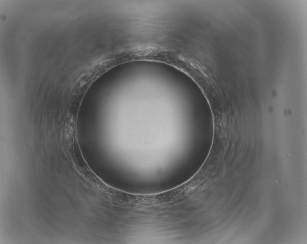 X0000072991349200608041258