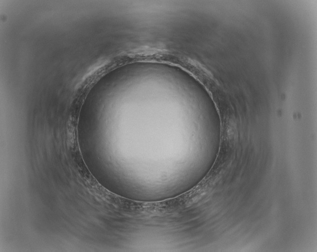 X0000072991350200608041258