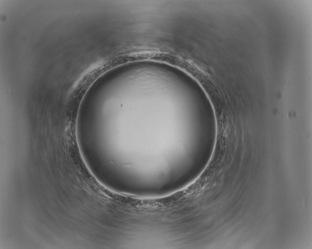 X0000072991351200608041258