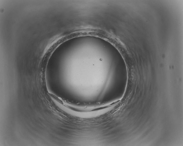 X0000072991352200608041258