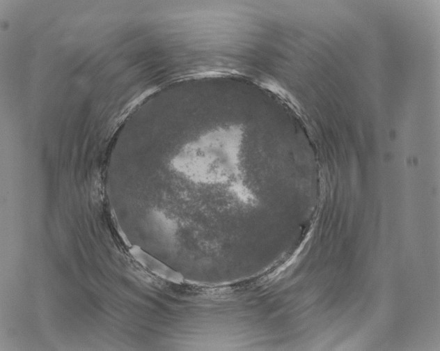 X0000072991353200608041258