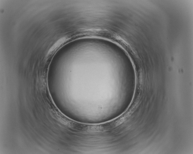 X0000072991354200608041258