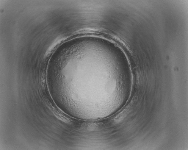 X0000072991355200608041258