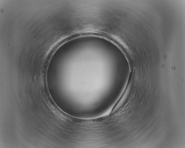 X0000072991356200608041258