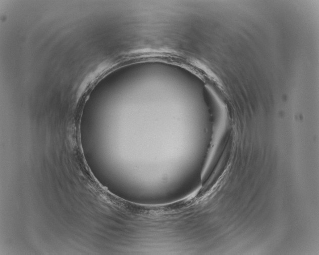 X0000072991357200608041258