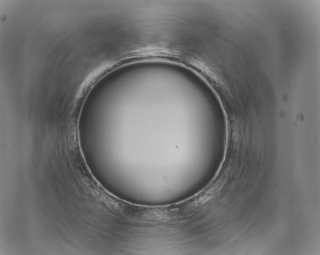 X0000072991358200608041258