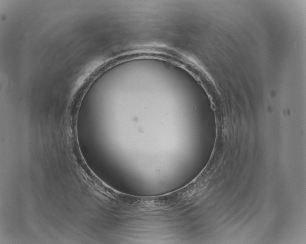 X0000072991360200608041258